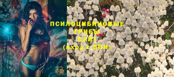 первитин Пролетарск