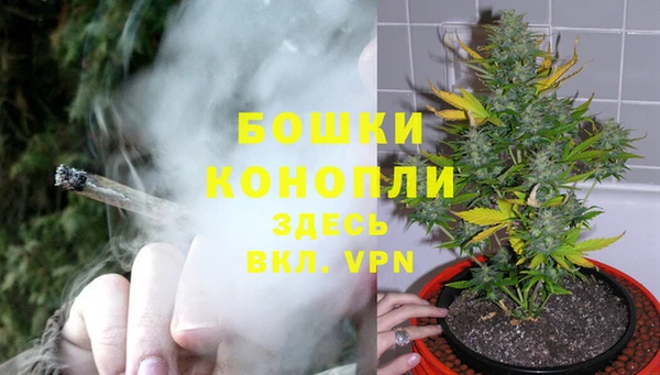 стафф Протвино