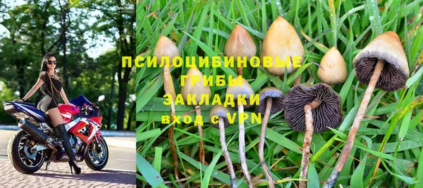 гашик Приозерск