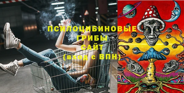 стафф Протвино