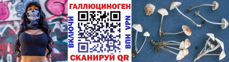 ссылка на мегу зеркало  Сольцы  Галлюциногенные грибы GOLDEN TEACHER 